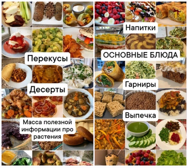 [Medical Medium] Рецепты для исцеления по методике_0.png